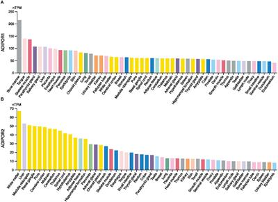 Distinct roles of ADIPOR1 and ADIPOR2: A pan-cancer analysis